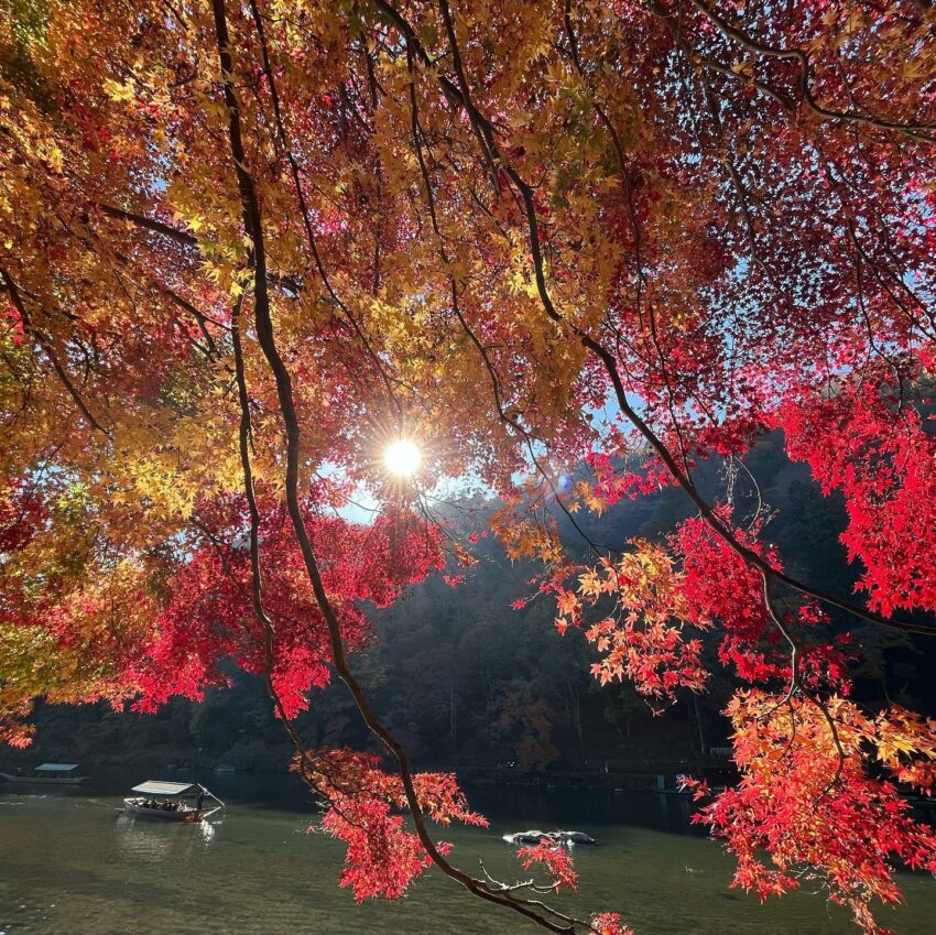 京都車站攻略！5大行李寄放、美食地圖、附近景點推薦、乘換案內交通、住宿一次看！