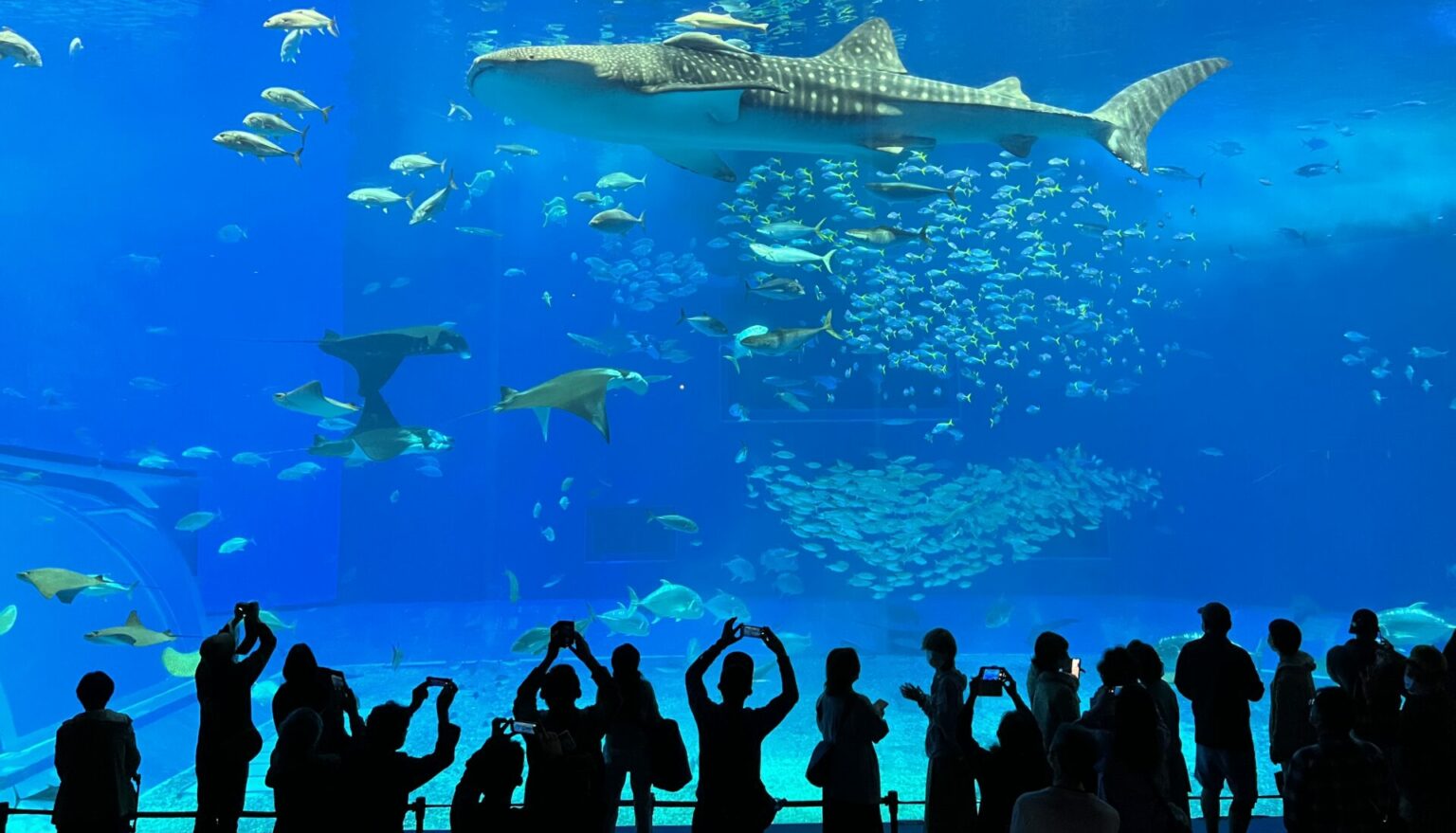 沖繩四天三夜怎麼玩？沖繩行程推薦、在地美食、必去景點，好用優惠跟著玩沖繩準沒錯