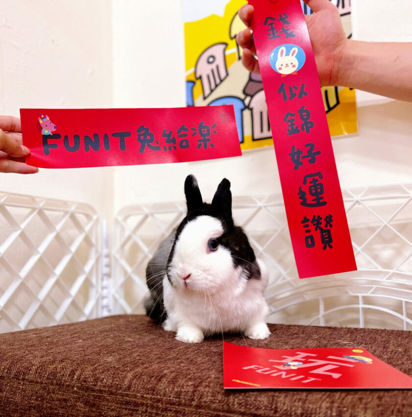 兔年吉祥話 兔年吉祥話這樣說！50+句兔年賀詞、祝福語、創意過年吉祥話、兔年成語、春聯對聯、諧音梗拜年懶人包 2 2026