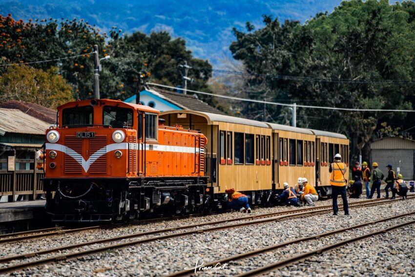搭阿里山小火車一日遊怎麼玩？阿里山火車訂票教學、車票價格、10大必訪景點路線一次看！