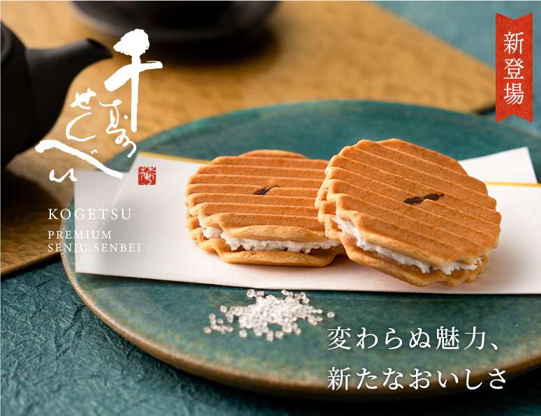 京都車站攻略！5大行李寄放、美食地圖、附近景點推薦、乘換案內交通、住宿一次看！