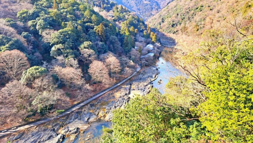 京都嵐山一日遊路線｜嵐山小火車、祐齋亭、竹林等嵐山景點地圖/交通/美食/溫泉/和服推薦