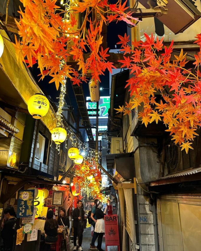 新宿逛街｜推薦12間新宿購物必逛地點、商圈、百貨公司、一出JR就能大血拚！