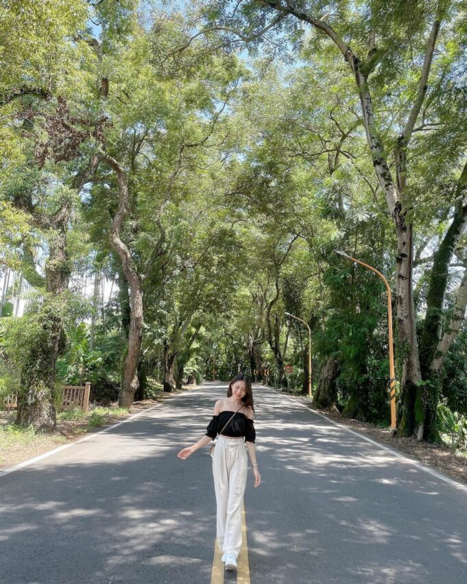 集集線 龍泉站 集集綠色隧道 集集隧道