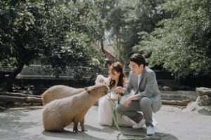 頑皮世界野生動物園門票優惠、水豚君互動體驗、遊樂設施、交通接駁車預約