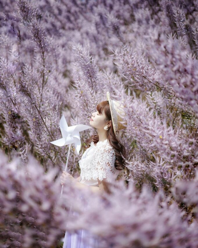 南投賞花 南投賞花攻略|愛花人必收!南投一年四季必拍賞花秘境景點推薦 6 2026