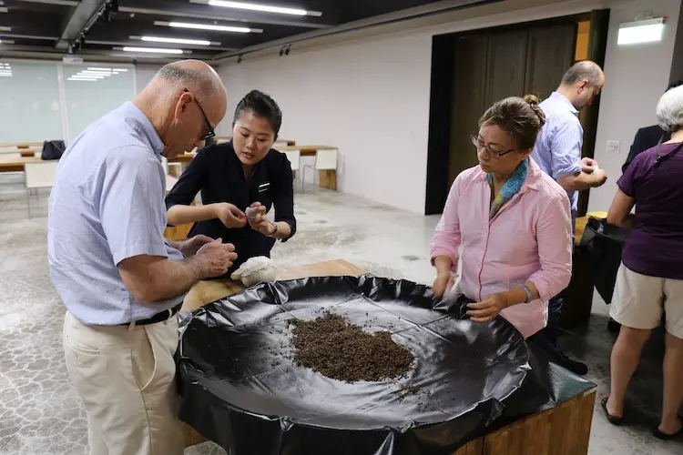 南投觀光工廠 南投觀光工廠推薦｜精選必玩15個親子景點、DIY體驗、室內景點一次看 7 2026