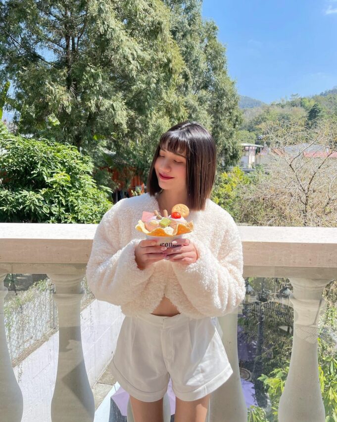 妮娜巧克力夢想城堡 【妮娜巧克力夢想城堡攻略】埔里歐式城堡怎麼玩？門票優惠、必拍亮點與參觀重點整理 8 2026