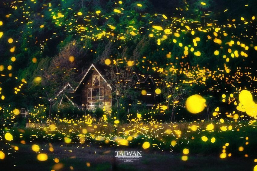 【日月潭螢火蟲季】7 大賞螢景點全攻略,時間、地點、路線、報名一次搞定 【日月潭螢火蟲季】7 大賞螢景點全攻略,時間、地點、路線、報名一次搞定