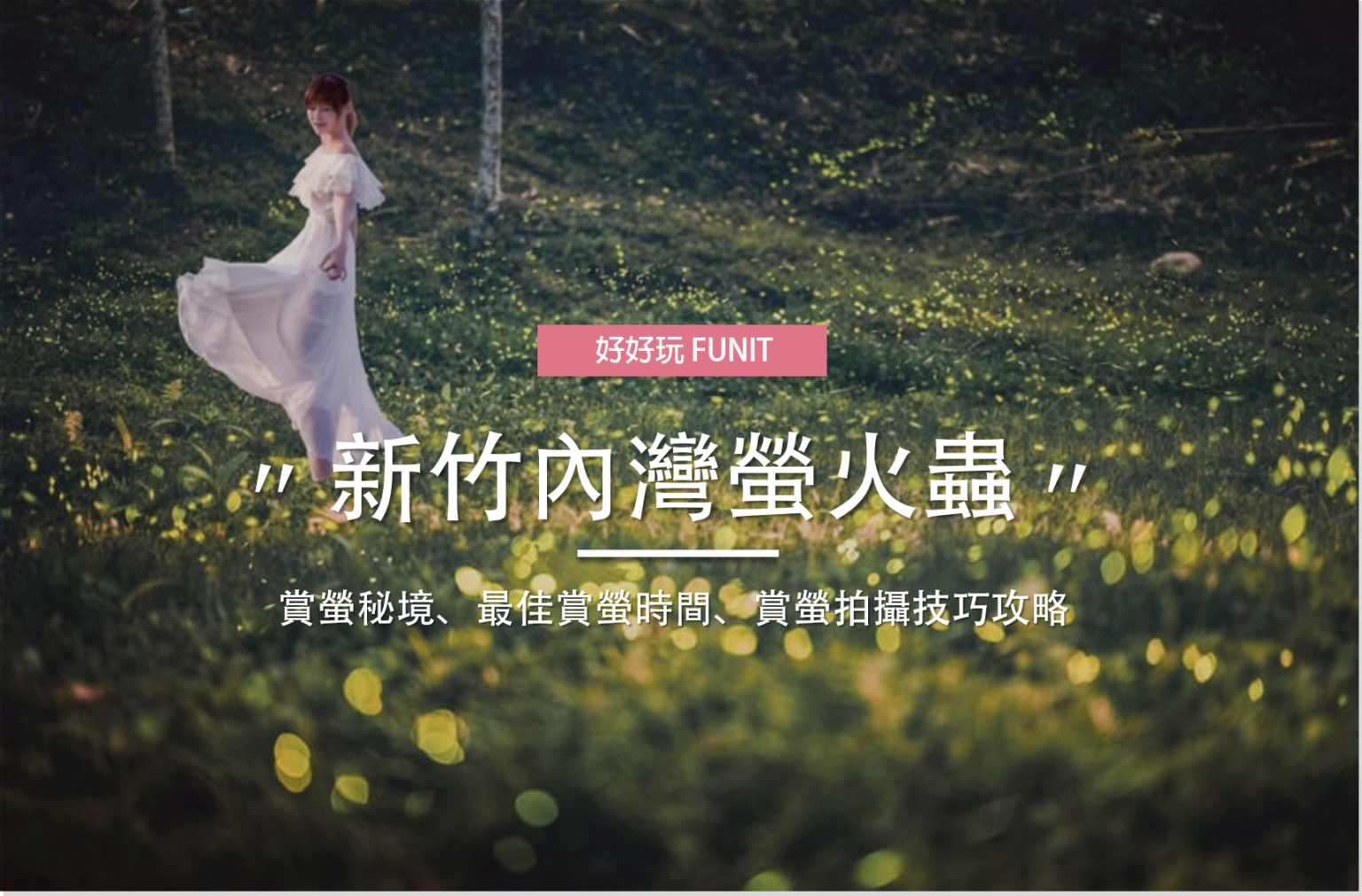 新竹內灣螢火蟲季｜推薦賞螢秘境、最佳賞螢時間、賞螢技巧攻略！