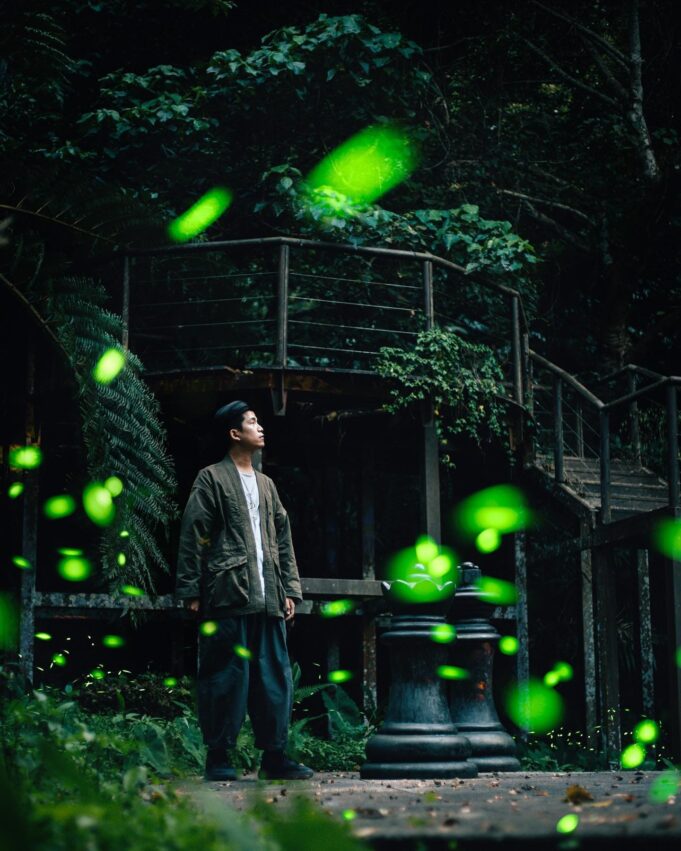 【台北螢火蟲季節】4至5月最多！螢火蟲季景點推薦10選，大安森林公園螢火蟲如仙境！