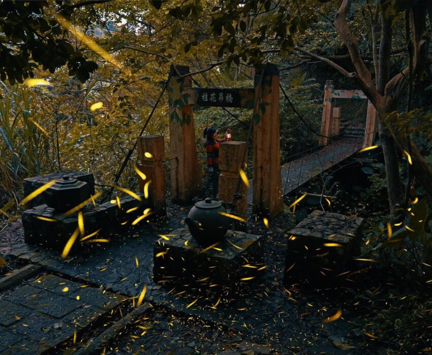 【台北螢火蟲季節】4至5月最多！螢火蟲季景點推薦10選，大安森林公園螢火蟲如仙境！