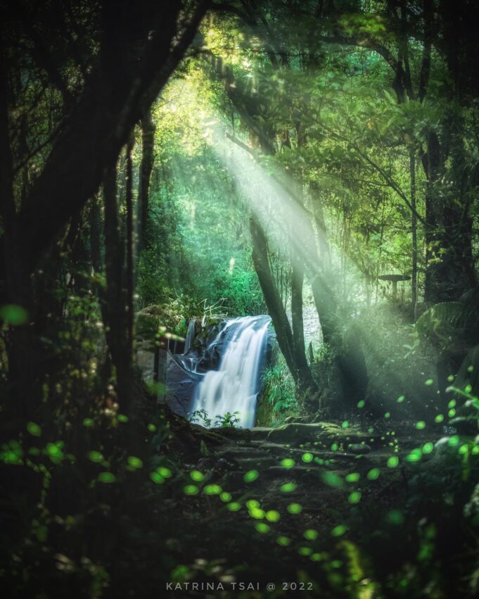 【台北螢火蟲季節】4至5月最多！螢火蟲季景點推薦10選，大安森林公園螢火蟲如仙境！