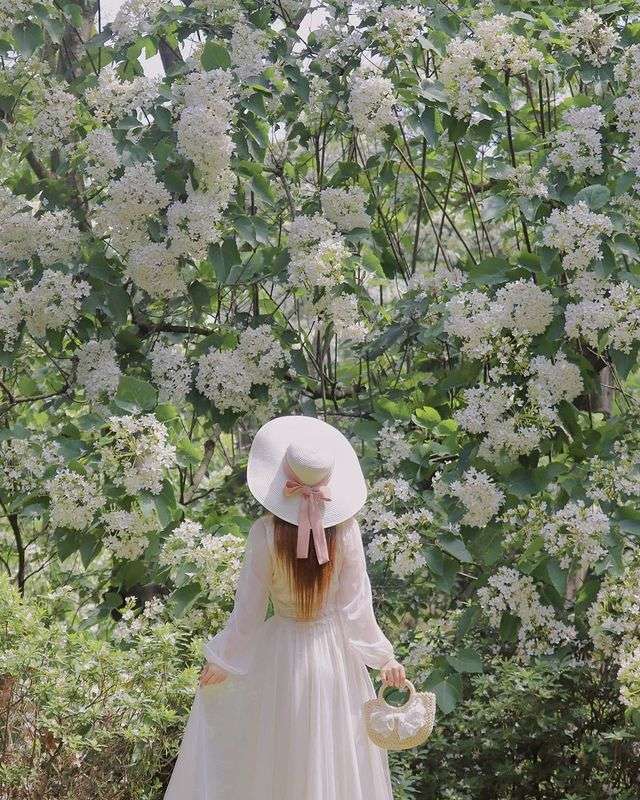 【2026行事曆】春節+228請4休16天!9個連假怎麼請?最新115年請假攻略下載 【2026行事曆】春節+228請4休16天!9個連假怎麼請?最新115年請假攻略下載