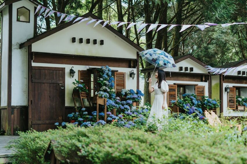 【薰衣草森林】四季都有浪漫花景!最新花況、螢火蟲季、門票、交通懶人包 【薰衣草森林】四季都有浪漫花景!最新花況、螢火蟲季、門票、交通懶人包