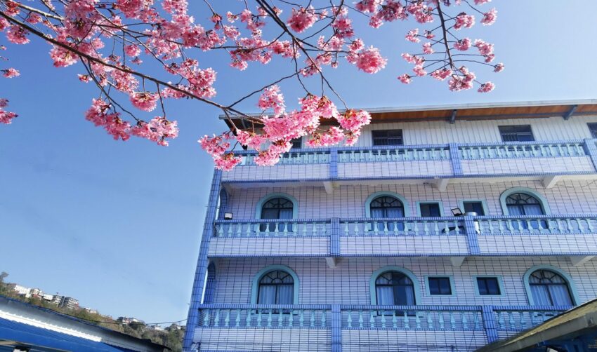 【桃園拉拉山住宿推薦】精選12家桃園拉拉山民宿,一起入住雲霧繚繞的山中仙境! 【桃園拉拉山住宿推薦】精選12家桃園拉拉山民宿,一起入住雲霧繚繞的山中仙境!