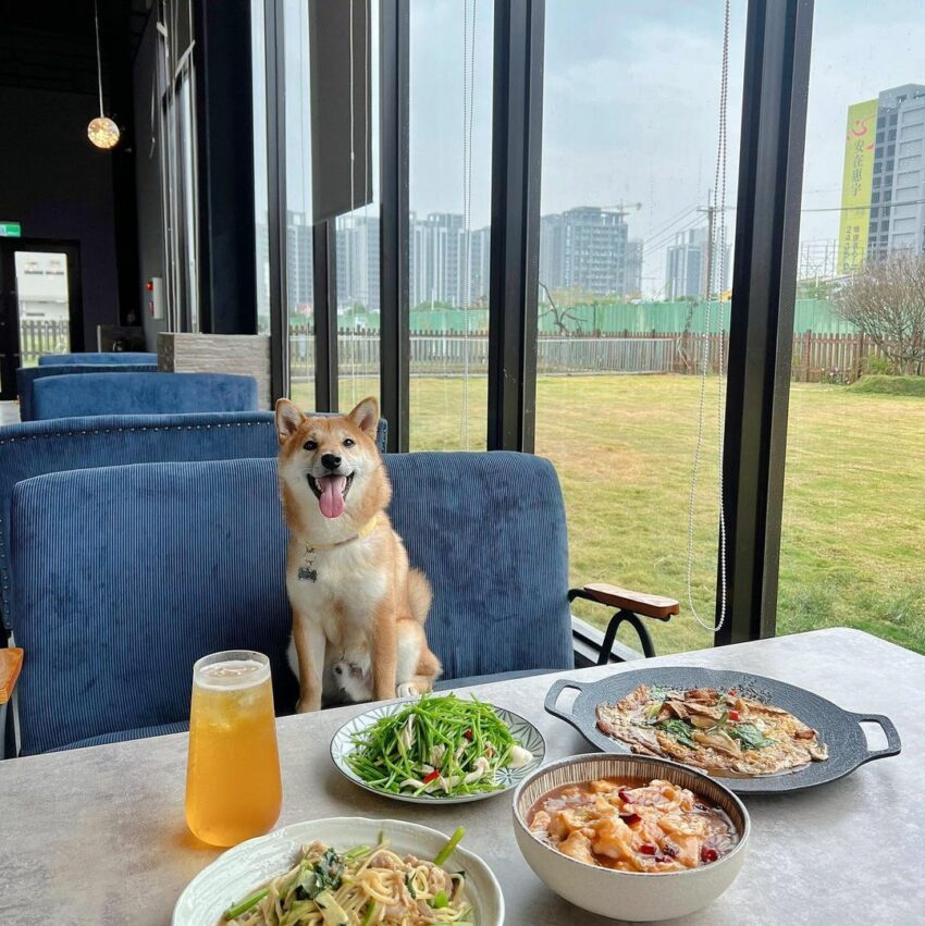 台中美食推薦|50家高評價台中必吃美食餐廳,從早餐吃到宵夜《鍋物、燒肉、咖啡廳、早午餐、小吃》 台中美食推薦|50家高評價台中必吃美食餐廳,從早餐吃到宵夜《鍋物、燒肉、咖啡廳、早午餐、小吃》