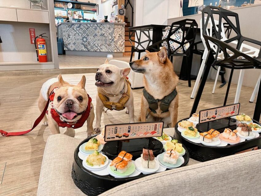 台中美食推薦|50家高評價台中必吃美食餐廳,從早餐吃到宵夜《鍋物、燒肉、咖啡廳、早午餐、小吃》 台中美食推薦|50家高評價台中必吃美食餐廳,從早餐吃到宵夜《鍋物、燒肉、咖啡廳、早午餐、小吃》