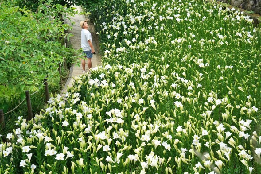 【台北景點推薦】精選100個台北活動及台北一日遊景點！台北旅遊不可錯過的台北捷運景點