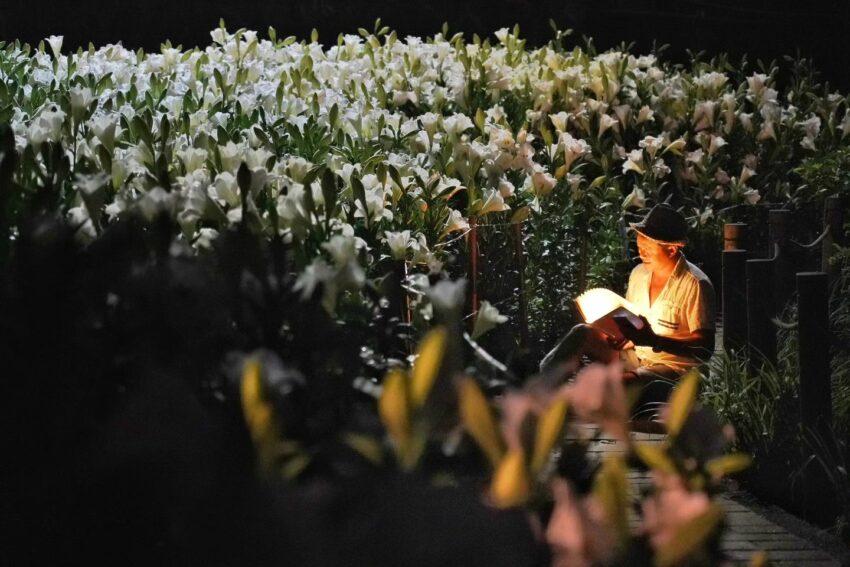 【台北景點推薦】精選100個台北活動及台北一日遊景點！台北旅遊不可錯過的台北捷運景點