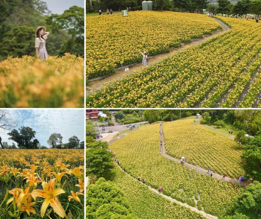【桃園景點推薦】精選60個桃園一日遊景點,8條必玩路線攻略! 【桃園景點推薦】精選60個桃園一日遊景點,8條必玩路線攻略!