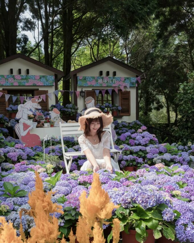 【薰衣草森林】四季都有浪漫花景!最新花況、螢火蟲季、門票、交通懶人包 【薰衣草森林】四季都有浪漫花景!最新花況、螢火蟲季、門票、交通懶人包