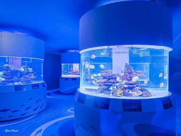 【基隆住宿推薦】高回訪率的11間基隆飯店民宿，近廟口夜市/基隆火車站/海科館