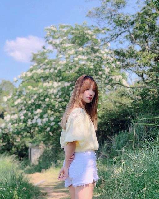 苗栗油桐花景點｜帶你探訪苗栗油桐花花況、秘境、賞花景點