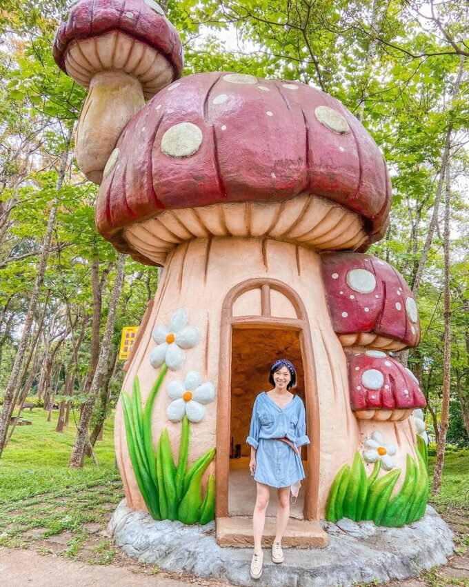 苗栗油桐花景點｜帶你探訪苗栗油桐花花況、秘境、賞花景點