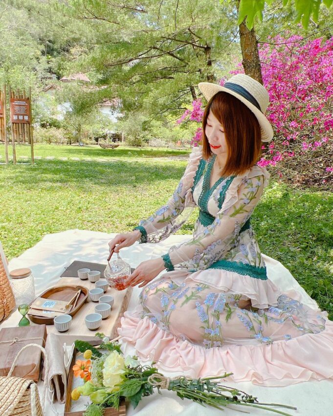 苗栗油桐花景點｜帶你探訪苗栗油桐花花況、秘境、賞花景點