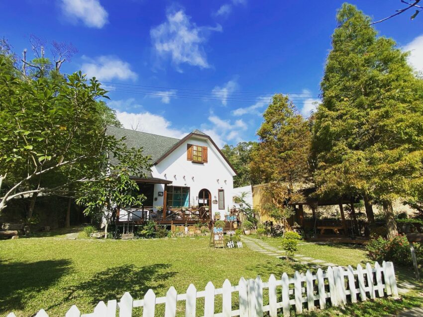 苗栗油桐花景點｜帶你探訪苗栗油桐花花況、秘境、賞花景點