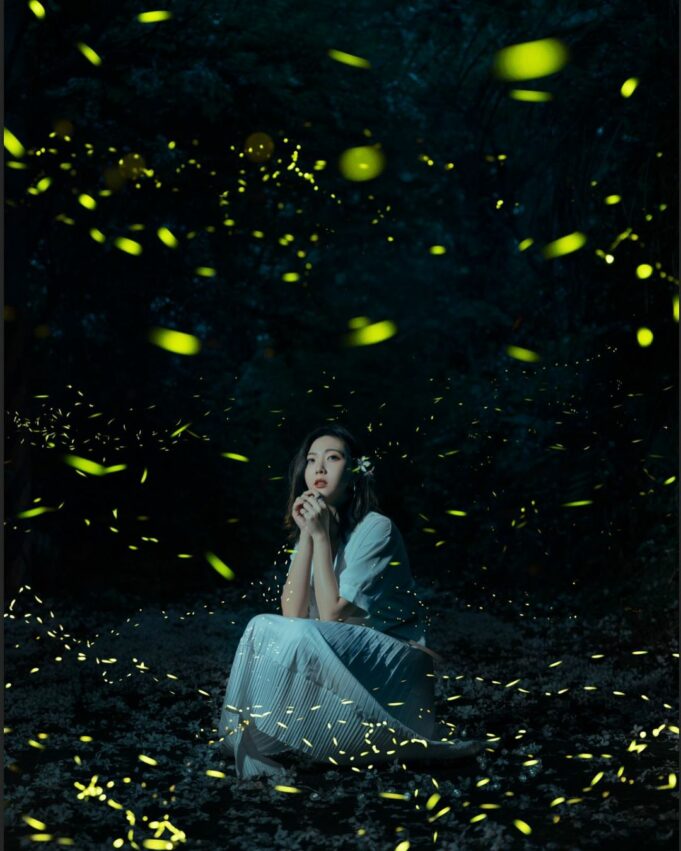 苗栗油桐花景點｜帶你探訪苗栗油桐花花況、秘境、賞花景點