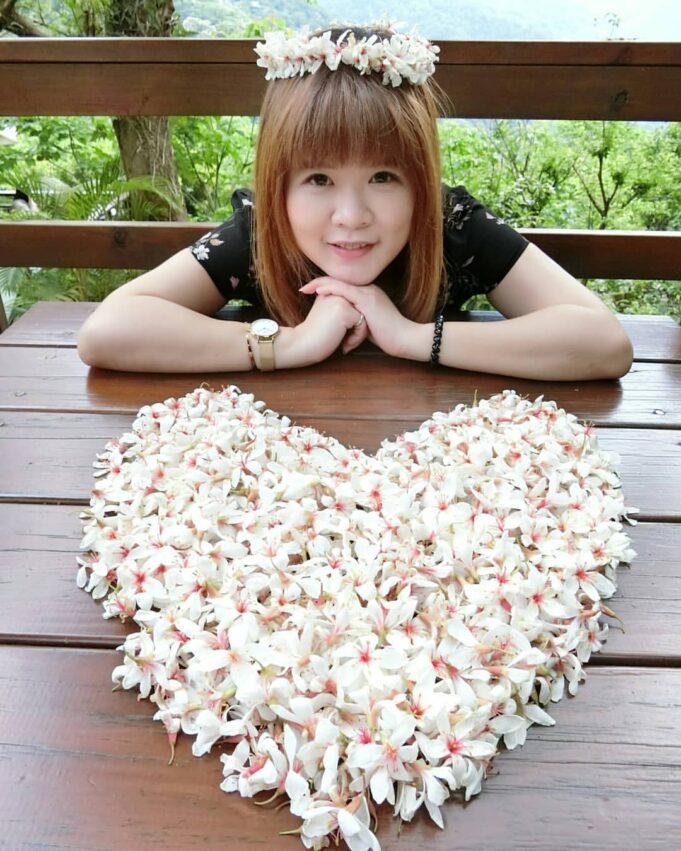 苗栗油桐花景點｜帶你探訪苗栗油桐花花況、秘境、賞花景點