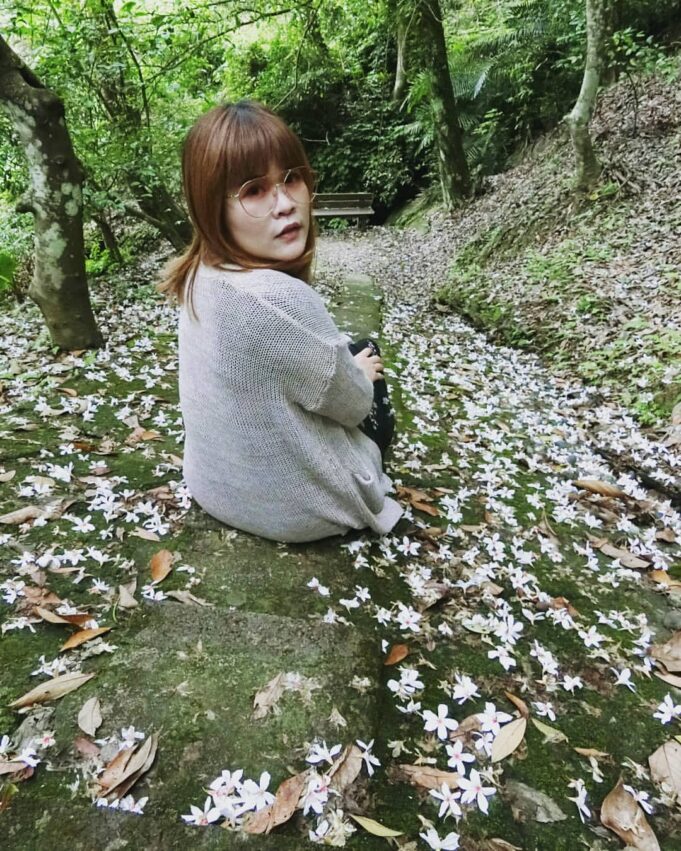 苗栗油桐花景點｜帶你探訪苗栗油桐花花況、秘境、賞花景點