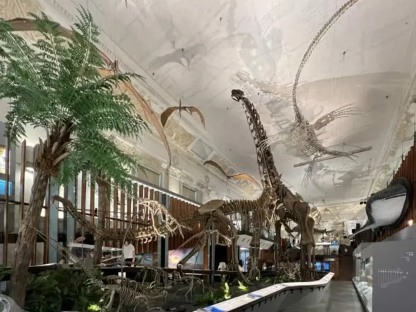 【台北展覽推薦】最新台北活動在南港展覽館、松菸展覽、華山展覽門票資訊整理