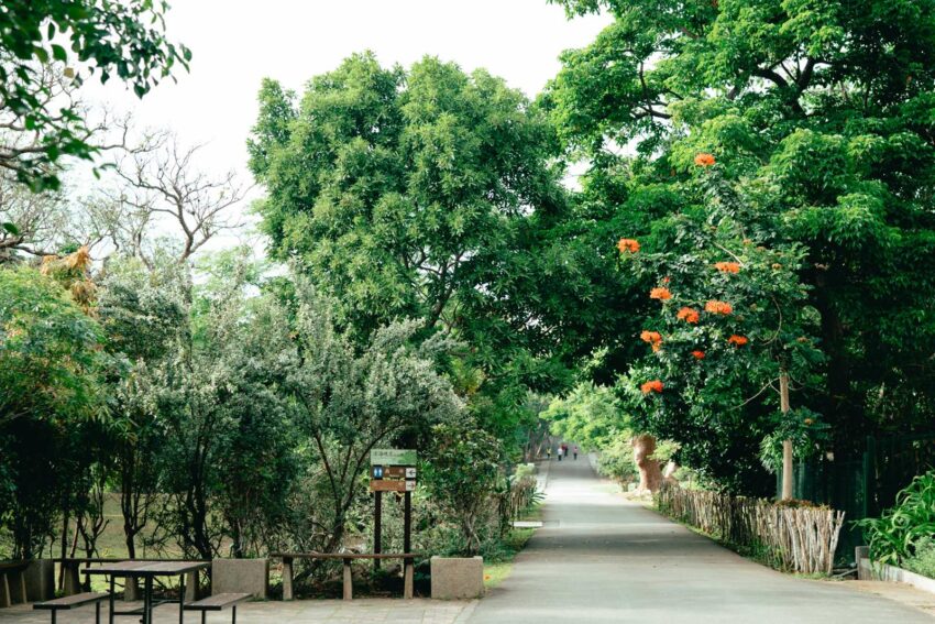 屏東景點【墾丁國家森林遊樂區】門票優惠與交通方式，漫遊珊瑚礁森林秘境，走訪墾丁國家公園