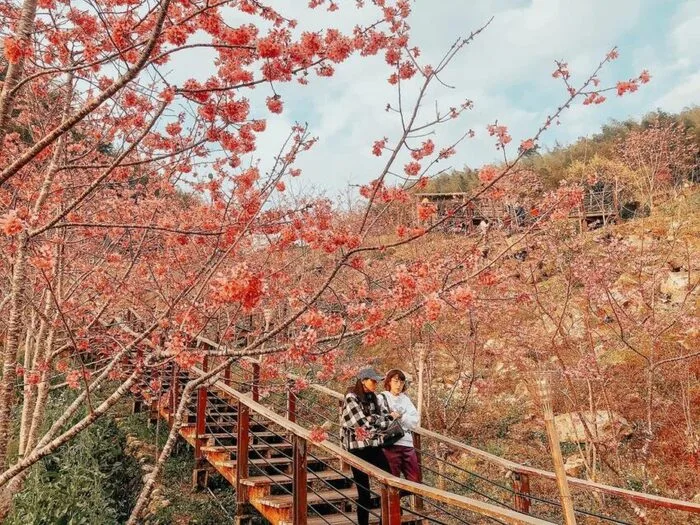 嘉義景點推薦｜40個嘉義新景點＆嘉義一日遊路線！跟著嘉義景點地圖一起玩