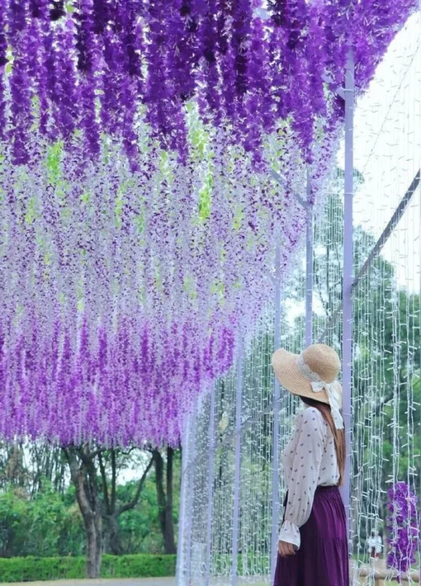 嘉義景點推薦|40個嘉義新景點&嘉義一日遊路線!跟著嘉義景點地圖一起玩 嘉義景點推薦|40個嘉義新景點&嘉義一日遊路線!跟著嘉義景點地圖一起玩