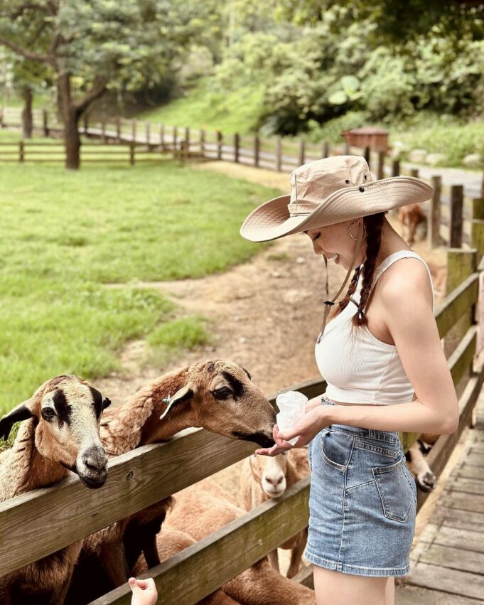 【飛牛牧場】苗栗通霄好玩的親子景點，門票優惠、園區介紹、住宿推薦懶人包