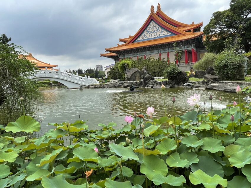 全台賞荷花景點｜夏日賞荷趣，精選10大荷花季景點，賞蓮花、荷花景點