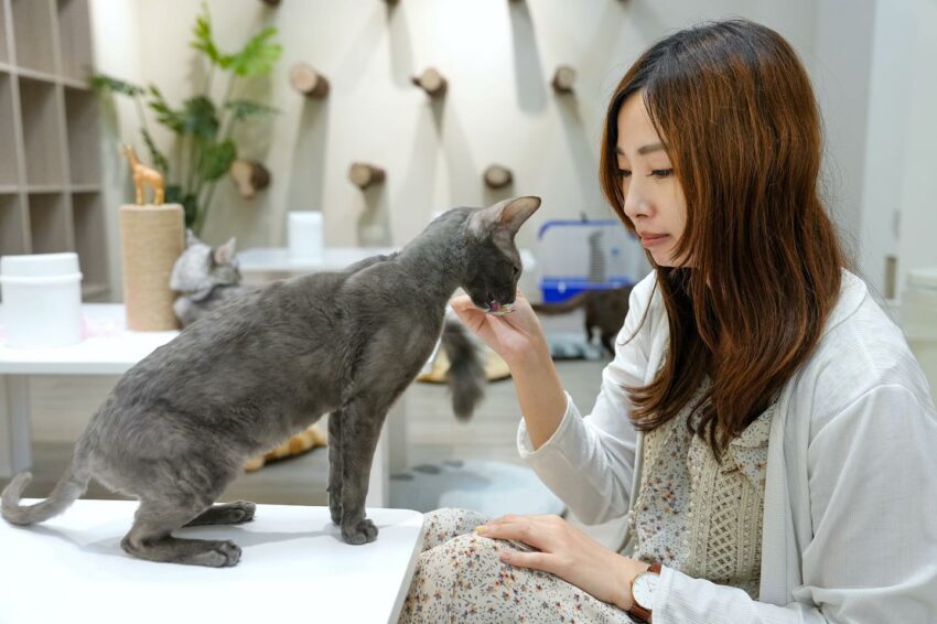 【台南美食推薦】精選台南餐廳、台南小吃、台南牛肉湯，美食地圖攻略！