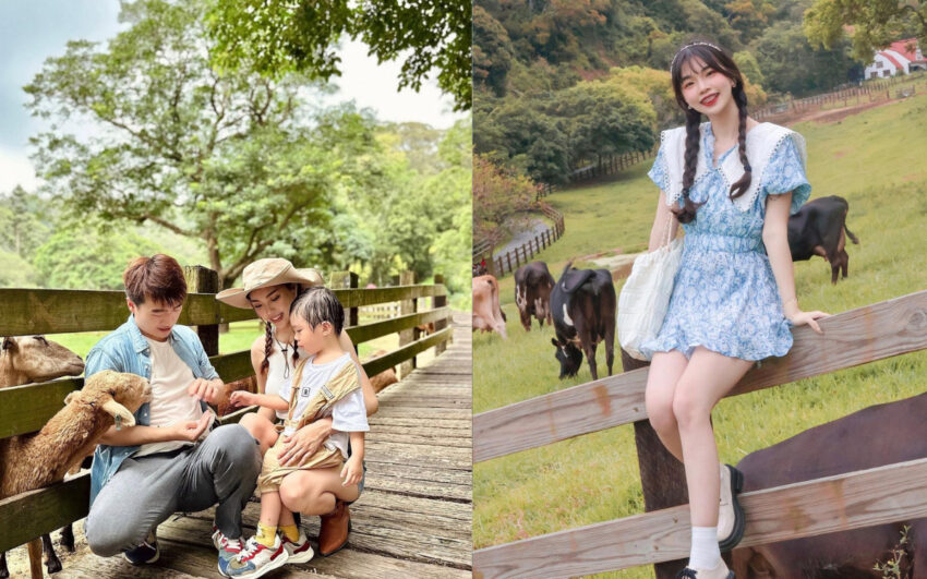 【飛牛牧場】苗栗通霄好玩的親子景點，門票優惠、園區介紹、住宿推薦懶人包