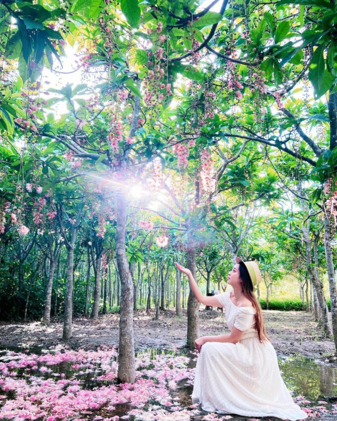 【苗栗景點推薦】精選70個苗栗親子/約會/免費景點，多條苗栗一日遊路線推薦