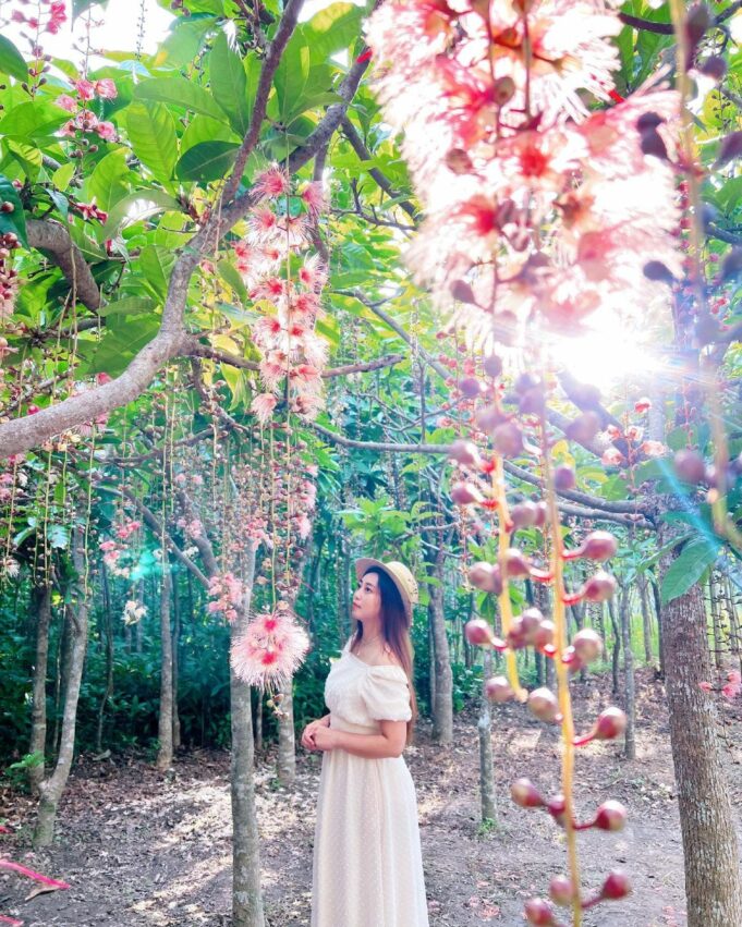 【苗栗景點推薦】精選70個苗栗親子/約會/免費景點，多條苗栗一日遊路線推薦