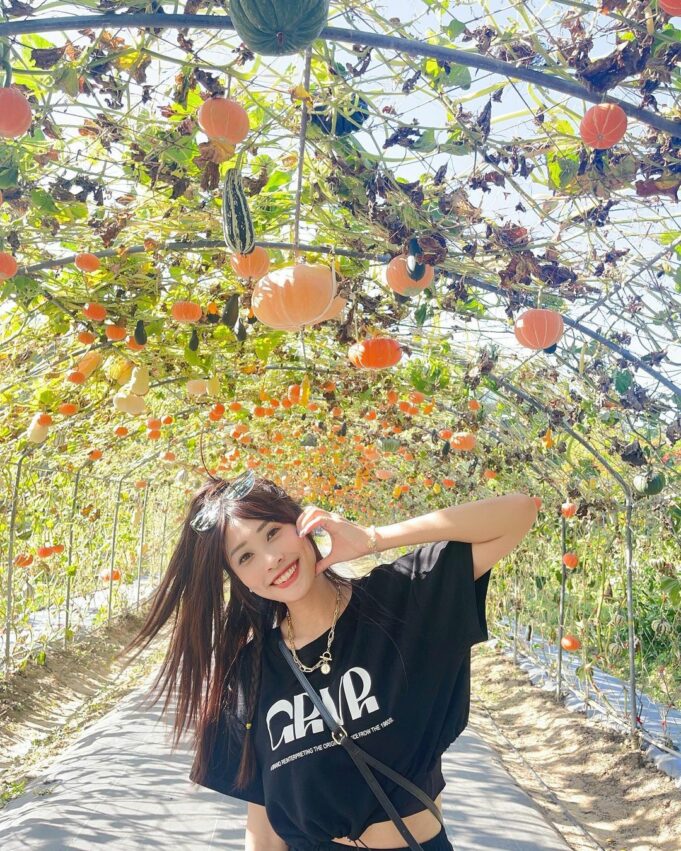 【苗栗景點推薦】精選70個苗栗親子/約會/免費景點，多條苗栗一日遊路線推薦