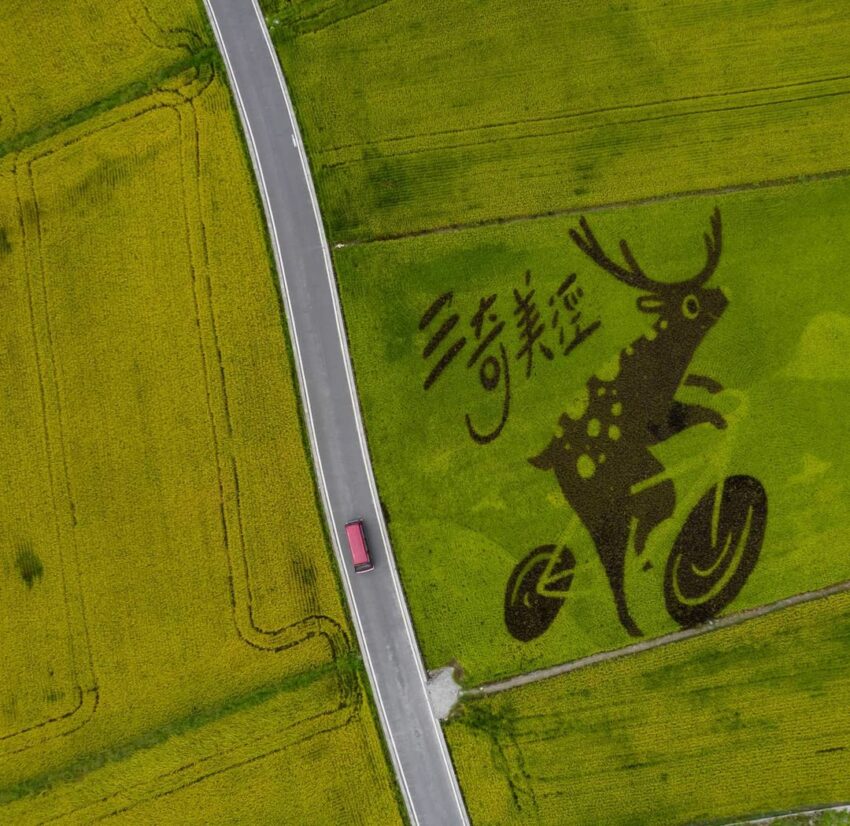 宜蘭秘境景點|三奇美徑