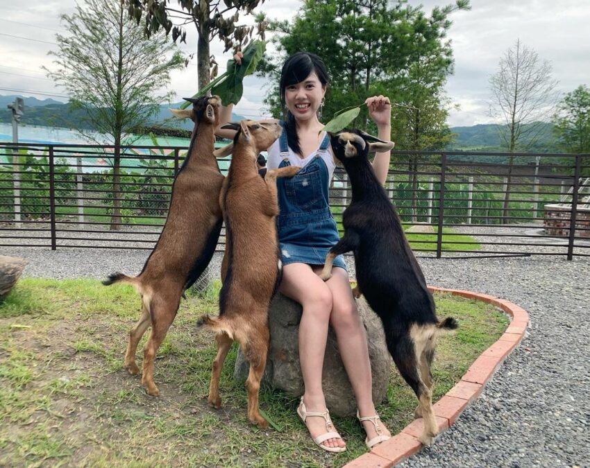 【宜蘭三星景點推薦】蒐集全宜蘭三星一日遊景點,秋季秘境落羽松、拔蔥體驗,三星好玩的地方這裡通通有! 【宜蘭三星景點推薦】蒐集全宜蘭三星一日遊景點,秋季秘境落羽松、拔蔥體驗,三星好玩的地方這裡通通有!