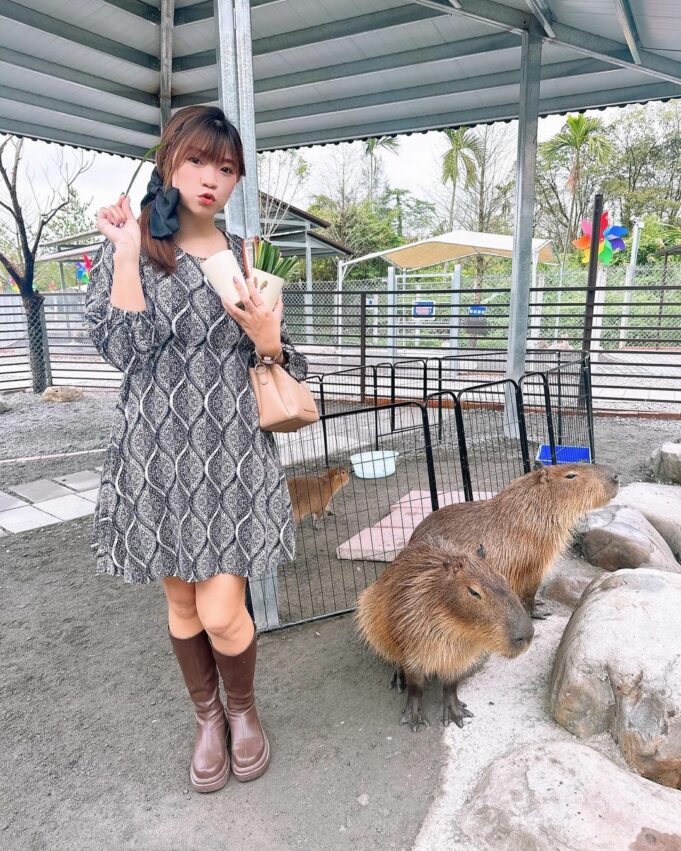 【宜蘭三星景點推薦】蒐集全宜蘭三星一日遊景點,秋季秘境落羽松、拔蔥體驗,三星好玩的地方這裡通通有! 【宜蘭三星景點推薦】蒐集全宜蘭三星一日遊景點,秋季秘境落羽松、拔蔥體驗,三星好玩的地方這裡通通有!