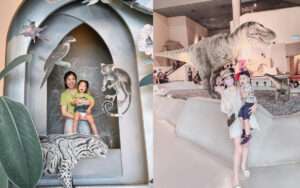 台中科博館門票優惠，必看木乃伊＆恐龍展、植物園，滿足你的好奇心
