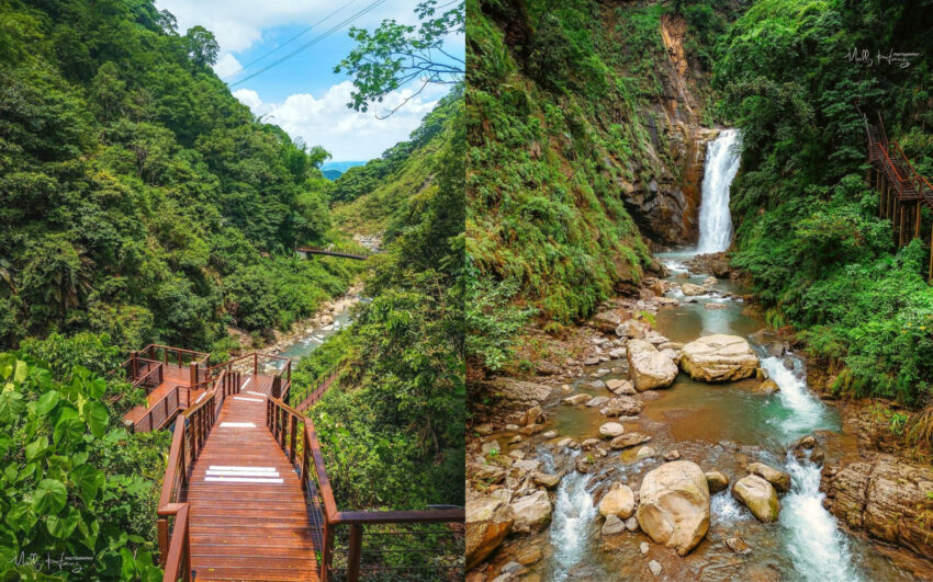 阿里山行程規劃兩天一夜，園區內住宿、景點門票優惠、美食懶人包總整理
